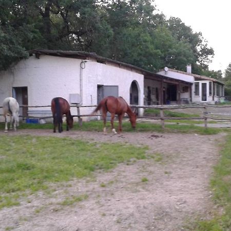 Ferme Equestre Des Abrons Villa Pailloles ภายนอก รูปภาพ