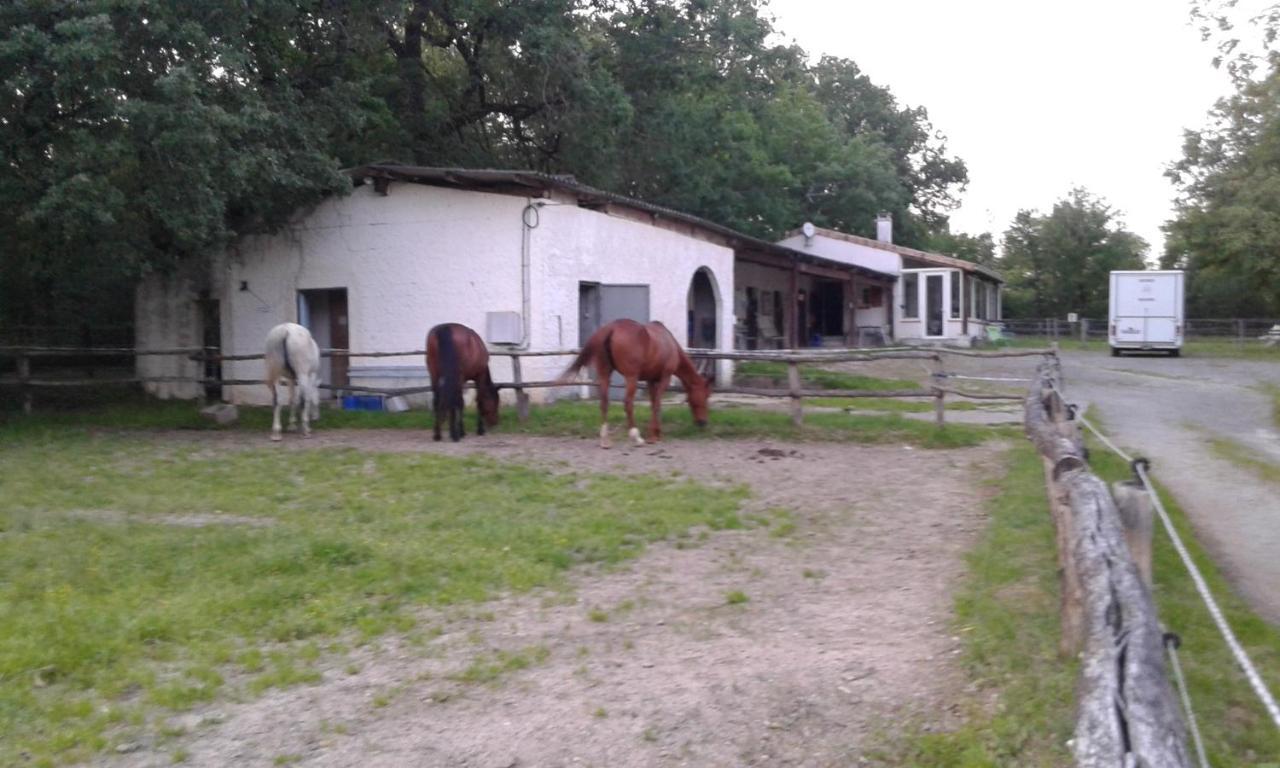 Ferme Equestre Des Abrons Villa Pailloles ภายนอก รูปภาพ