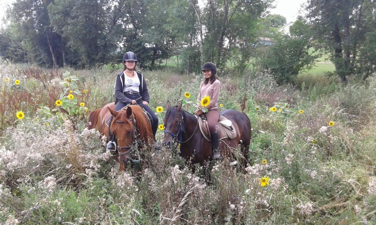 Ferme Equestre Des Abrons Villa Pailloles ภายนอก รูปภาพ